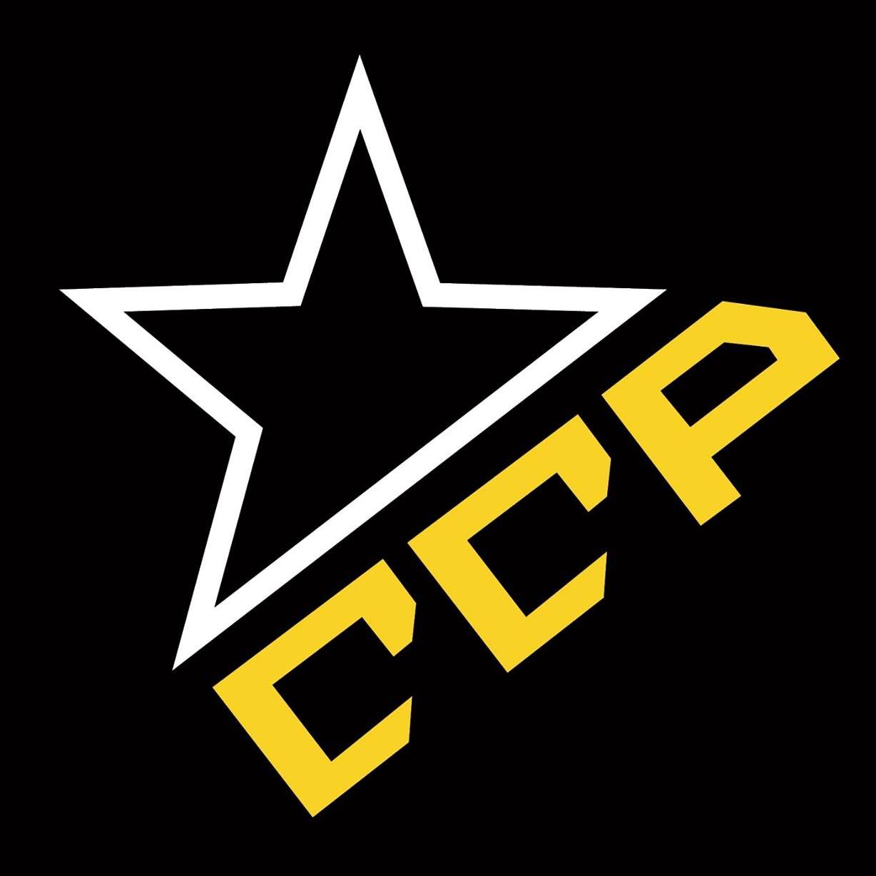 Community Crime Prevention